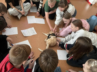 Dzieci podczas warsztatów z kotem.