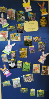 Prace zgłoszone na konkurs fotograficzny