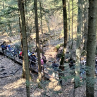 Zajęcia ekologiczne w terenie w ramach projektu UCZYMY – WSPIERAMY – POMAGAMY.