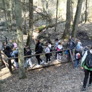 Zajęcia ekologiczne w terenie w ramach projektu UCZYMY – WSPIERAMY – POMAGAMY.
