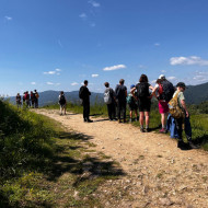 Widok na Palenice
