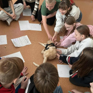 Dzieci podczas warsztatów z kotem.