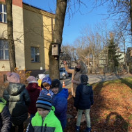 Uczniowie dokarmiają ptaki w szkolnym ogrodzie