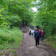 Spacer ścieżką edukacyjną na Gruchawce