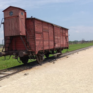 Klasa 7b zwiedza Muzeum w Oświęcimiu i Brzezince