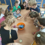 Dzieci ze świetlicy szkolnej w czasie zajęć-"Aktywna świetlica"