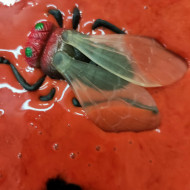 Zajęcia sensoryczne w wersji "halloween" w świetlicy szkolnej