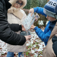 wykonanie prostych karmników dla ptaków