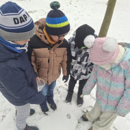 Zajęcia świetlicowe pt. "Po co dokarmiamy zwierzęta zimą?"