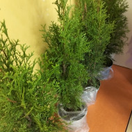 Inauguracja I Międzyszkolnego konkursu ekologicznego:  „UpCykling – coś z niczego.”