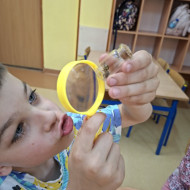 Z przyrodą za pan brat- obserwacje owadów