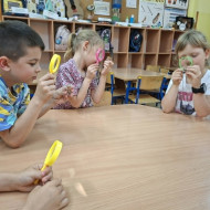 Z przyrodą za pan brat- obserwacje owadów