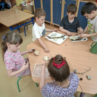 Zajęcia ekologiczne - wykonujemy i ustawiamy poidełka dla owadów.
