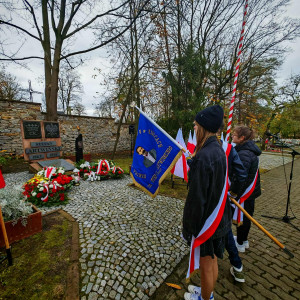 Salut sztandaru przed grobem Stefana Artwińskiego.