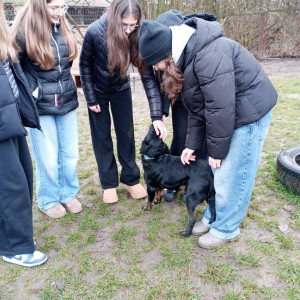 Uczennice głaszczą czarnego psa.