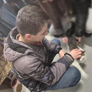 Uczeń głaszcze kota.