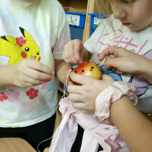 wykonanie prostych karmników dla ptaków