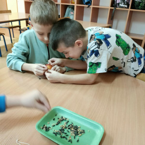 wykonanie prostych karmników dla ptaków