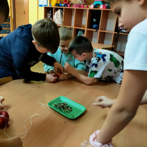 wykonanie prostych karmników dla ptaków