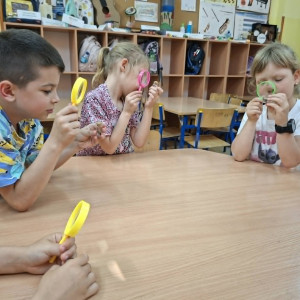 Z przyrodą za pan brat- obserwacje owadów