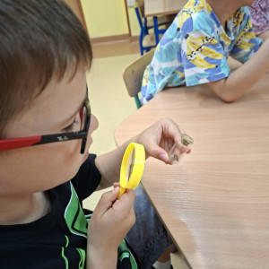 Z przyrodą za pan brat- obserwacje owadów