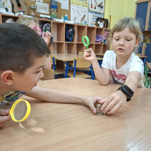 Z przyrodą za pan brat- obserwacje owadów