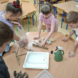 Zajęcia ekologiczne - wykonujemy i ustawiamy poidełka dla owadów.