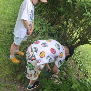 Zajęcia ekologiczne - wykonujemy i ustawiamy poidełka dla owadów.