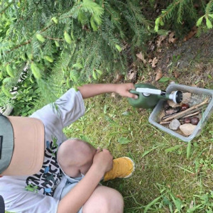 Zajęcia ekologiczne - wykonujemy i ustawiamy poidełka dla owadów.